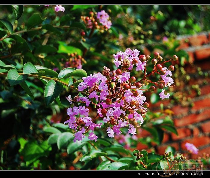 ���ϲ������Ӱ����Ū������Ƭ����ҿ���