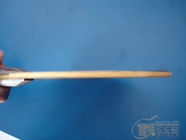 �����ˣ��������ͼ۳�Ti5.4 ��FL ��F1�׽�