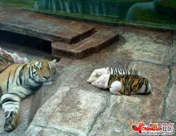 [��ͼ]�ϻ��Ĵ�˵