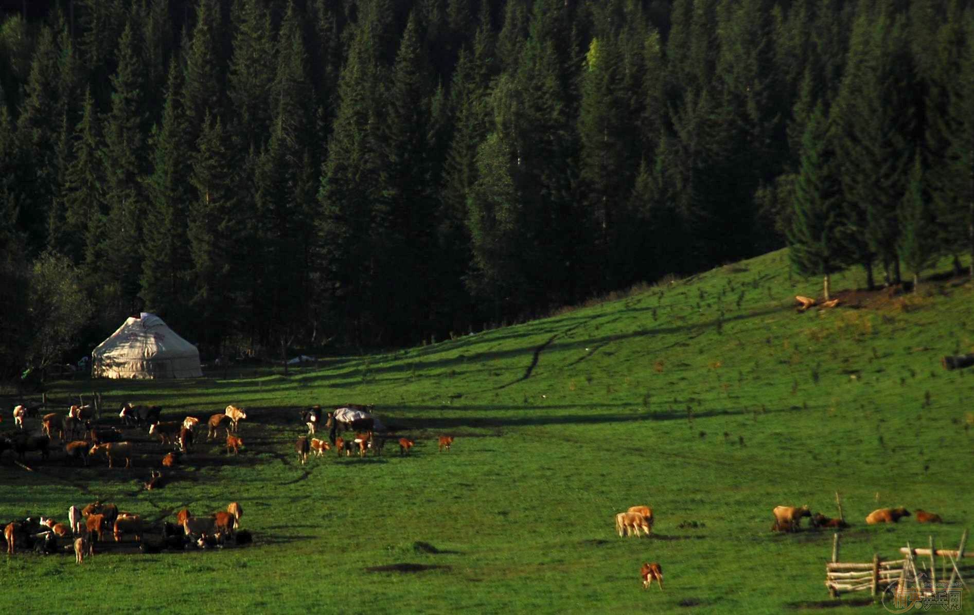 �½��е��ջ�2