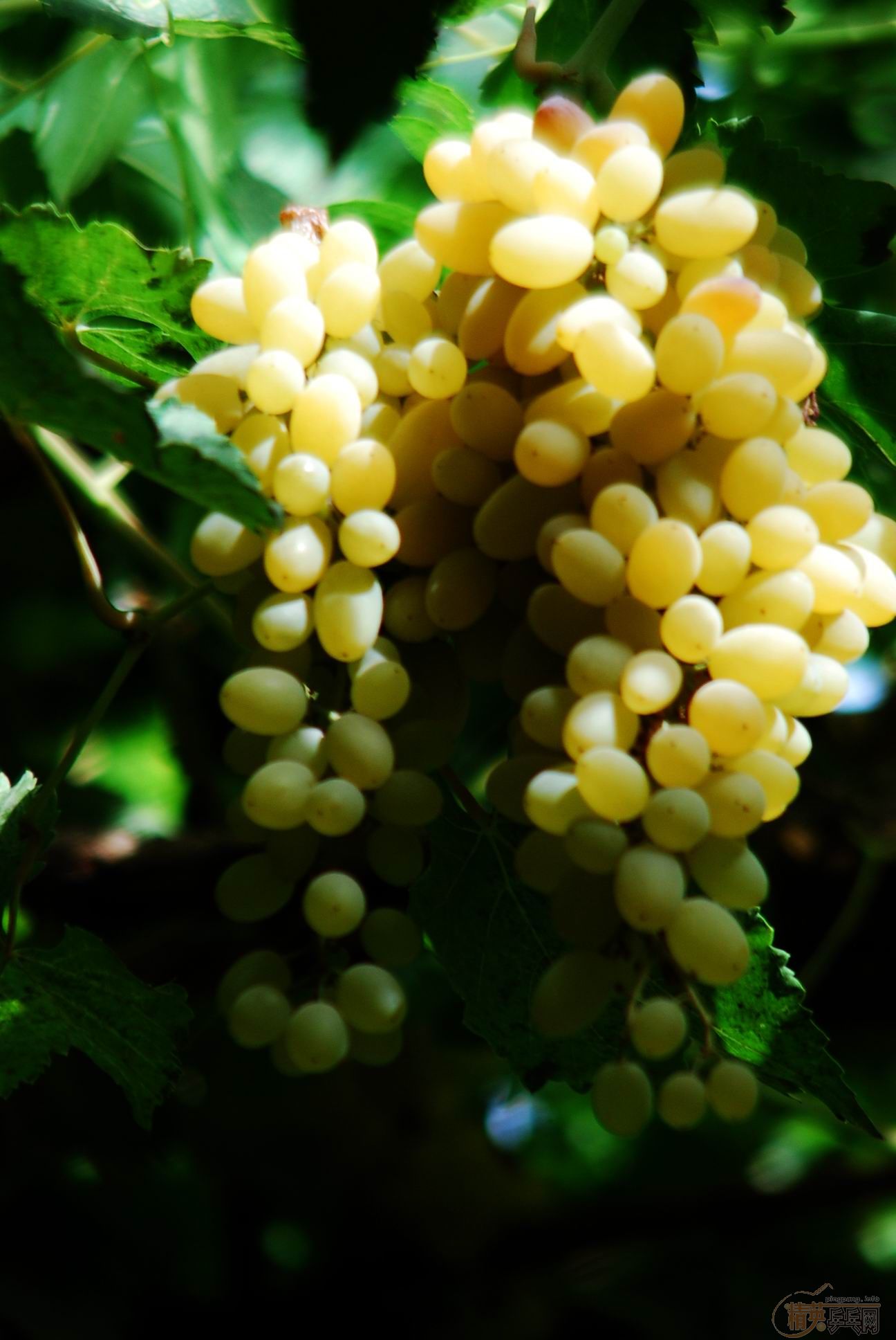 �½��е��ջ�3