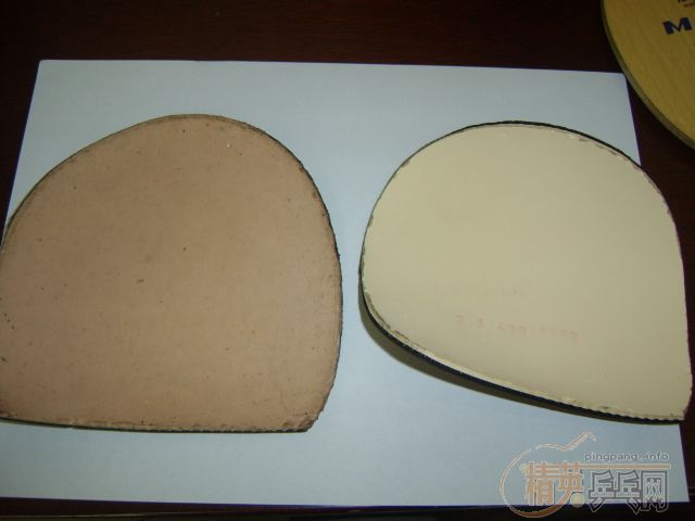 ֱ����430,HAMMOND������������