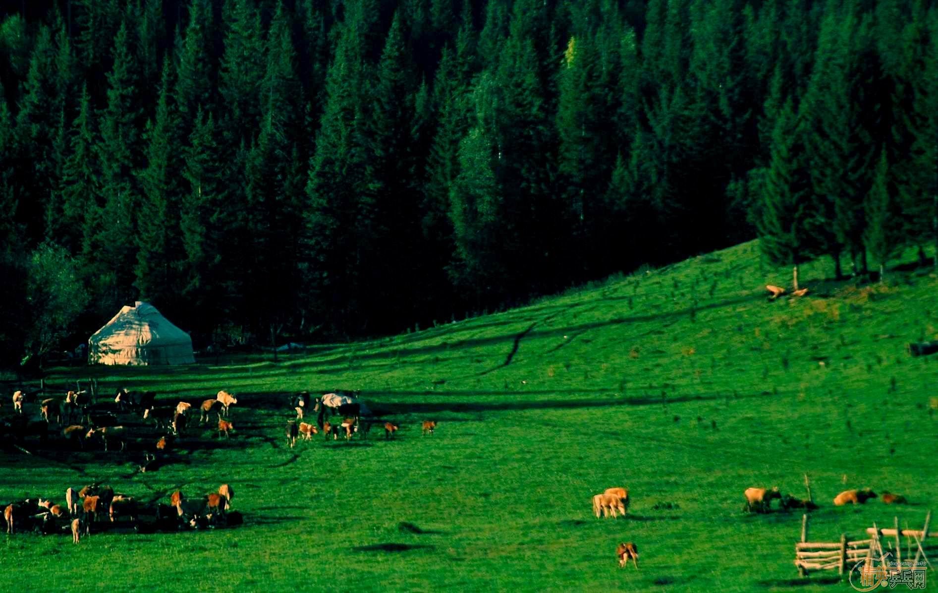 �½��е��ջ�2