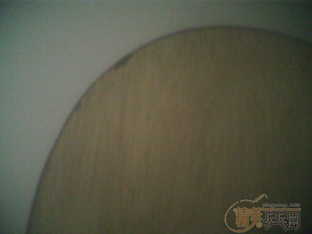 EG��TL����Ϊ�л���������������FL,����OC(CR)FL