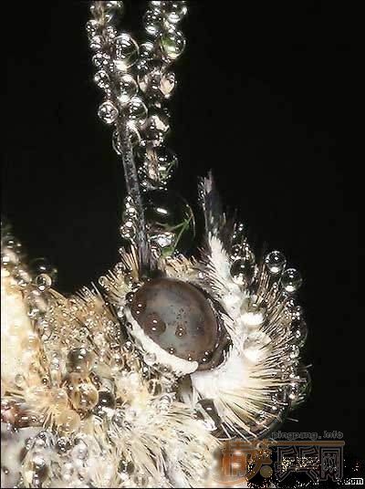 �������ף��������ף��������ף��ȶ�Ϊ�죡��������