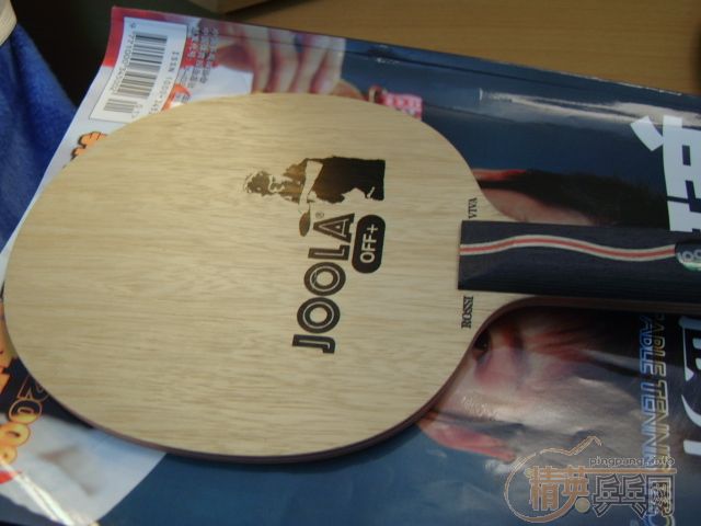 VIVA FL��MEZI��Ƥ���ѽ���