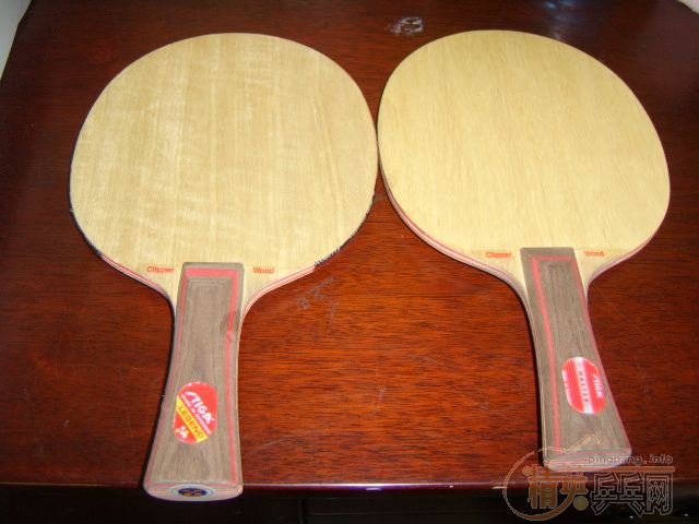 VIVA FL,CL��MEZI��Ƥ���ѽ���