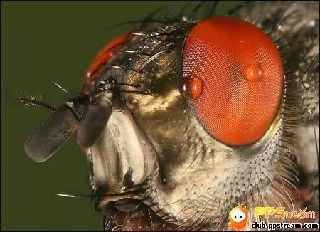 �������ף��������ף��������ף��ȶ�Ϊ�졪���յ״��������������