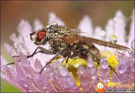 �������ף��������ף��������ף��ȶ�Ϊ�졪���յ״��������������