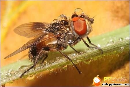 �������ף��������ף��������ף��ȶ�Ϊ�졪���յ״��������������