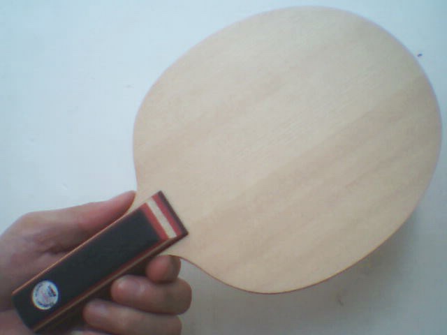 ��9.8���º���STʩ̼������