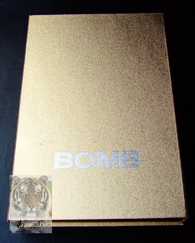 ϲ������Professional 01����쫷��ı�����������Ʒ�ʣ�