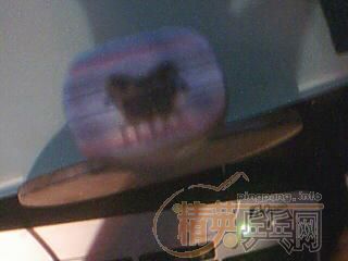 �ǳ����˵���̼��ֻ��300Ԫ��