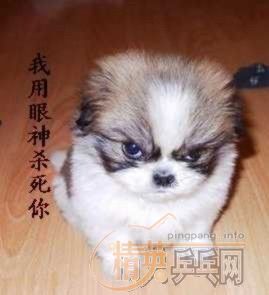 [��ˮ]��ɽ��ˮ