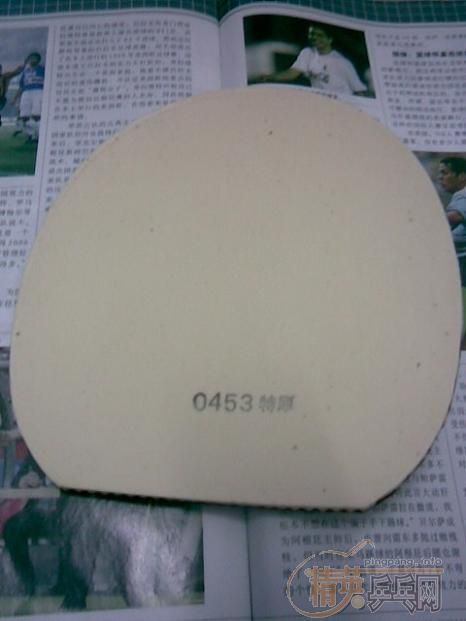 175����ݳ����ù�һ�ε��������׸�����REFOMA)