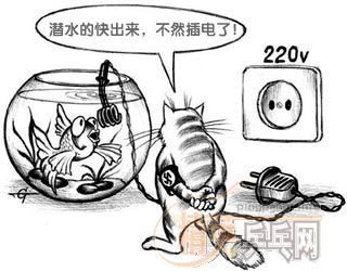 [��ͼ]��è��������γͷ���Ǳˮ"�ģ�[��Ц��]