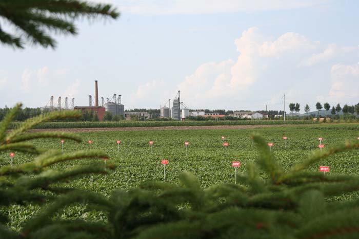 [��ͼ]�ڶ�������ò