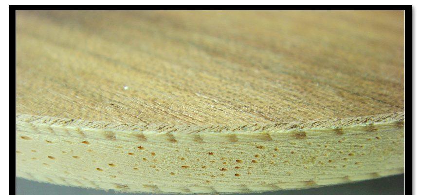 [����]���ְ��YASAKA����YEO��ô��?������,��ӡ