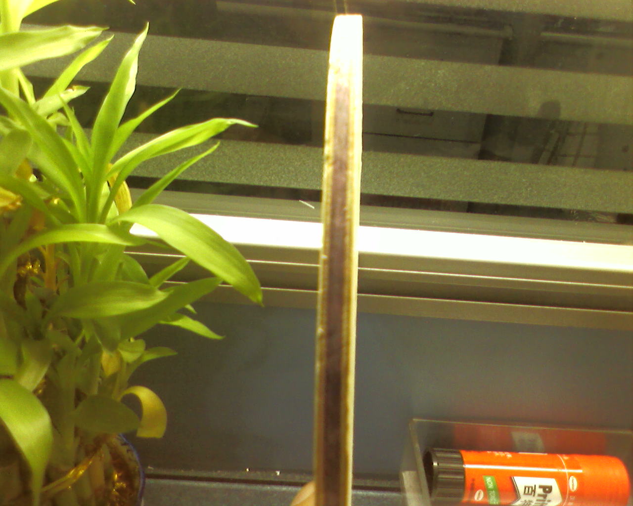 [ԭ��]��Ұ��Ҽ���һ��