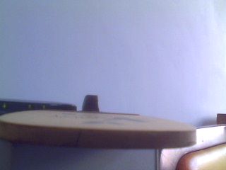 ���ۺ���һֻ