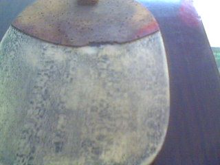 ���ۺ���һֻ