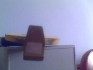 ���ۺ���һֻ