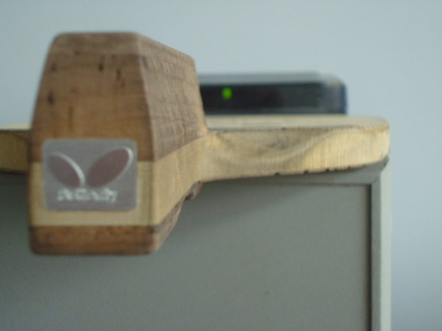 ���ۺ���һֻ