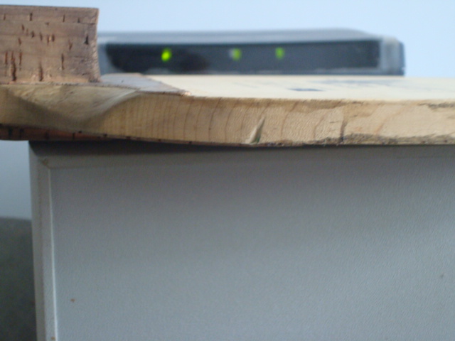 ���ۺ���һֻ