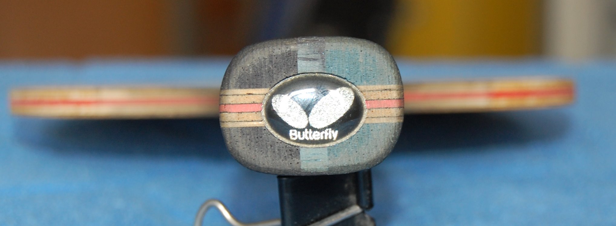 ����YEһֻ����