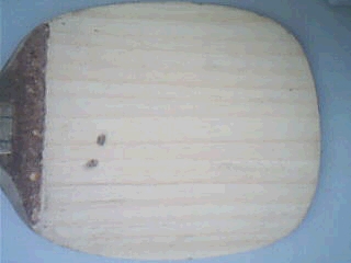 ����10mm����һ�麬����65Ԫ�����