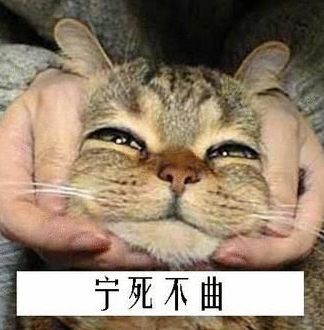 [] Ը˳ãǧﹲ濾ꡪףλXDJMѽڿ֣