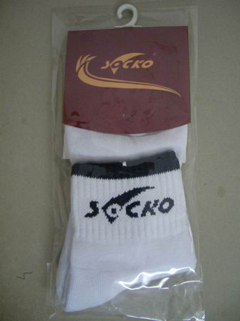 �����3�ε�STIGA EG ����轣�[����]