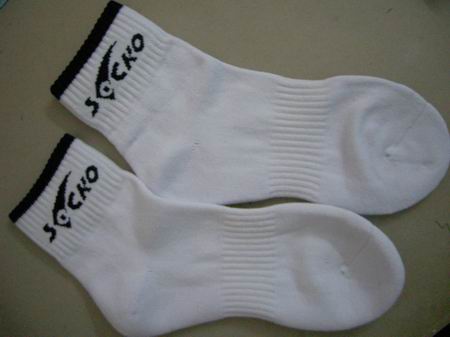 �����3�ε�STIGA EG ����轣�[����]