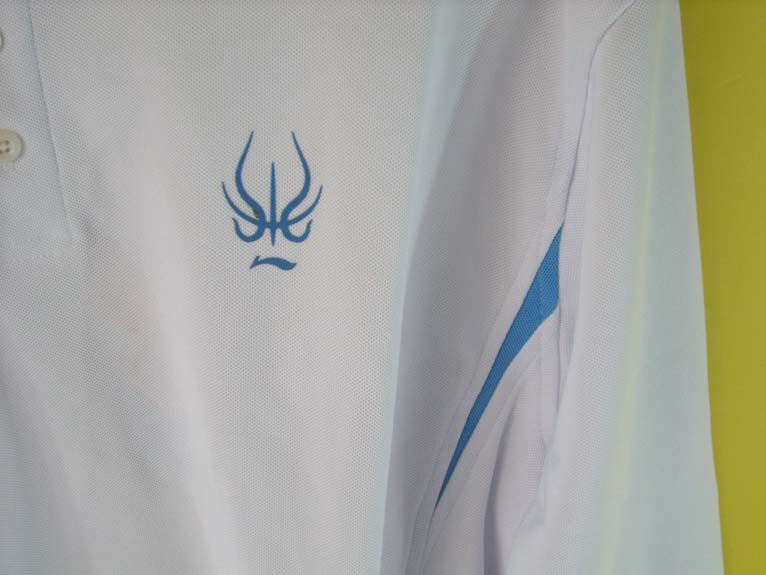 ���˳���������T��!