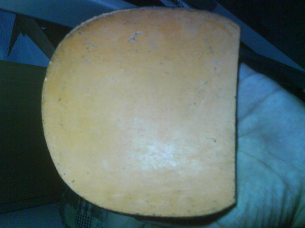 ��峬�ܣ�������+ר�񣬣ǣ������������