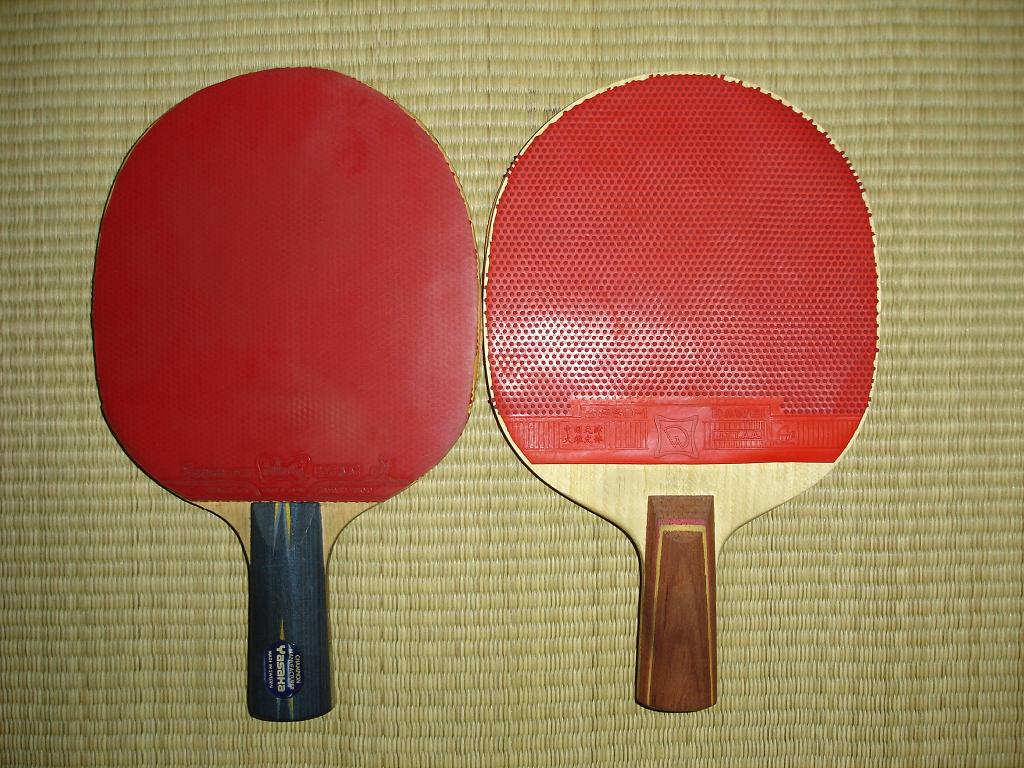 ��ʶϵ��֮--��ʶ��è��