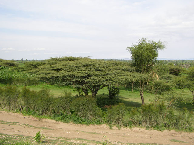 D02tsWr6.jpg