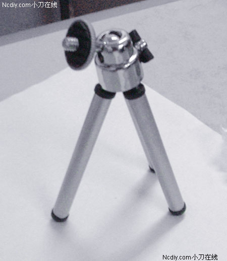 [ԭ��]��������ͷ��ֱ��һֻ