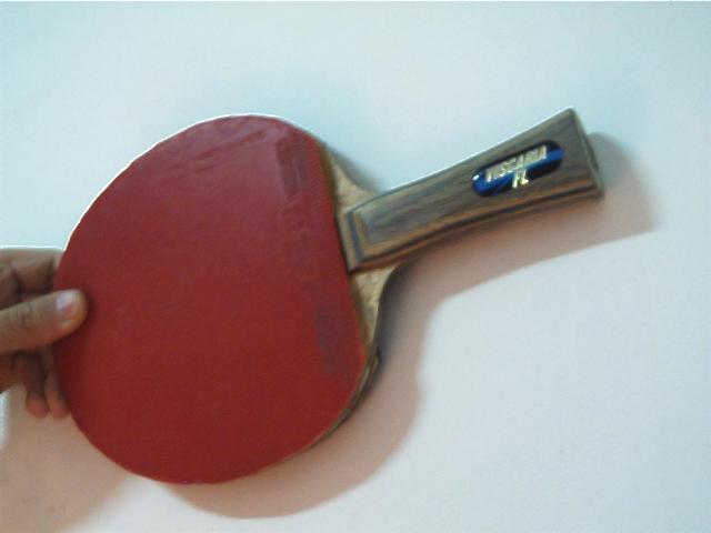 470������viscaria-FL�������淴��