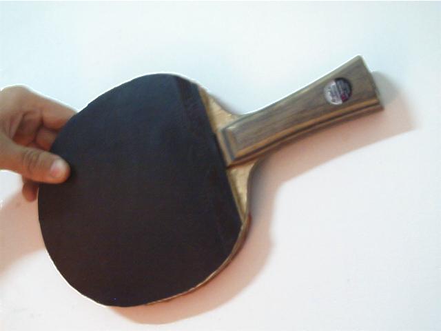 470������viscaria-FL�������淴��