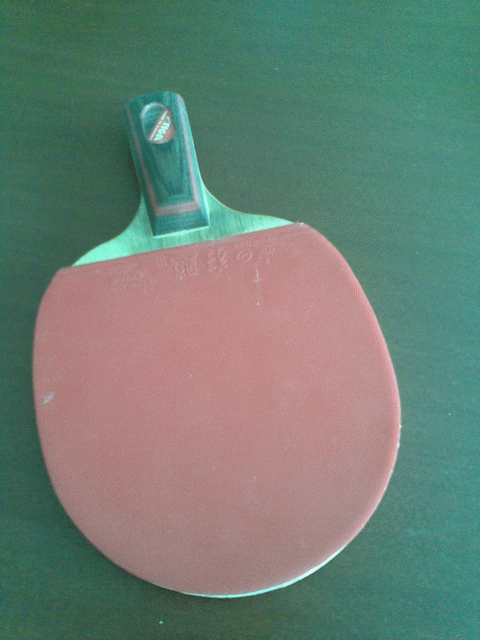 ��9���µ�CL WRB����ʡ��3��palio��Ƥ