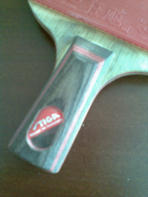 ��9���µ�CL WRB����ʡ��3��palio��Ƥ