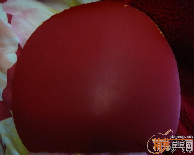 �����С�������EL��666һ��55��