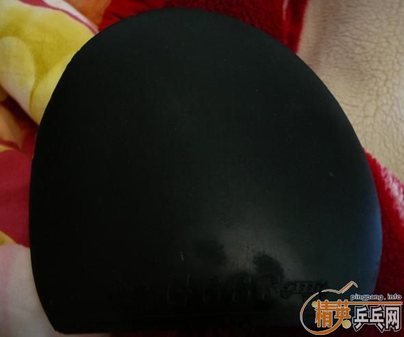 �����С�������EL��666һ��55��