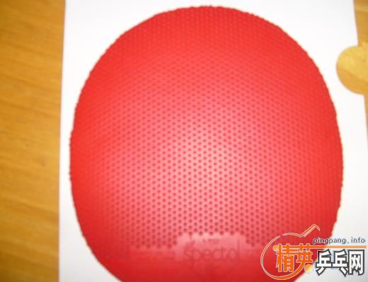 ��CL��ST����TSP��������Ȧ�װ�