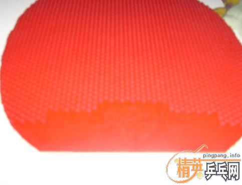 ��CL��ST����TSP��������Ȧ�װ�