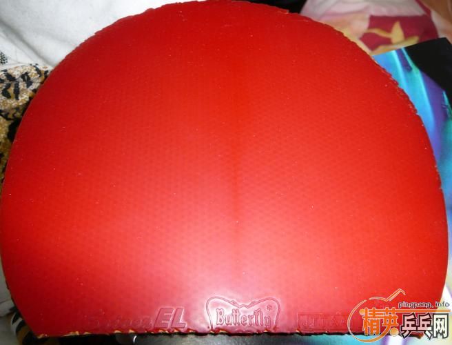 �ײ˼۴��������EL��666��729һ��60�ˣ�