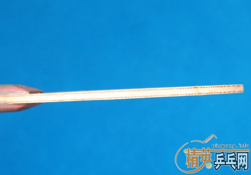 ����ľ9��240Ԫ�����