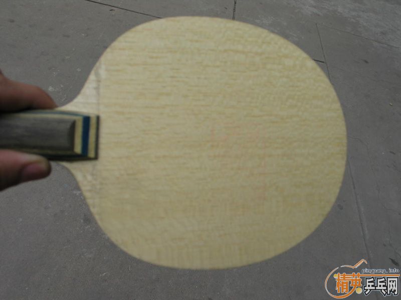 ת��VIS���9.7����(FL)560Ԫ����