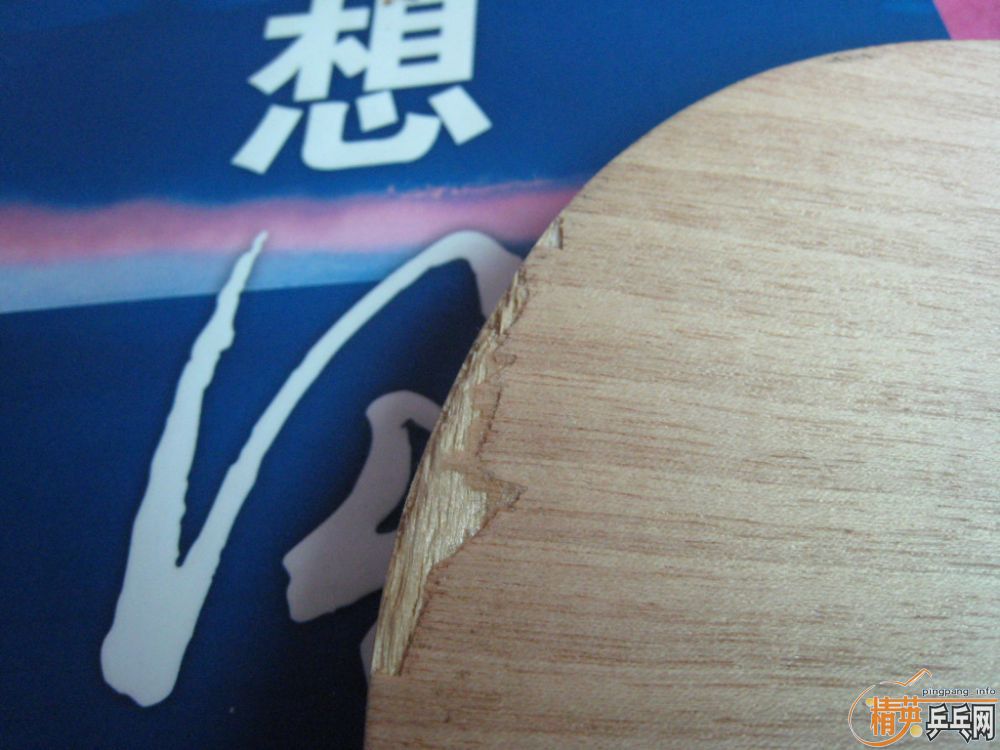 ֧YEᣬ110